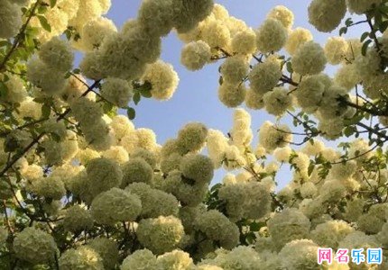 好听稀有的两字网名 二字网名好听又吸引人