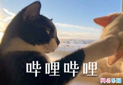 哔哩哔哩没用过的网名 bilibili网名不重复