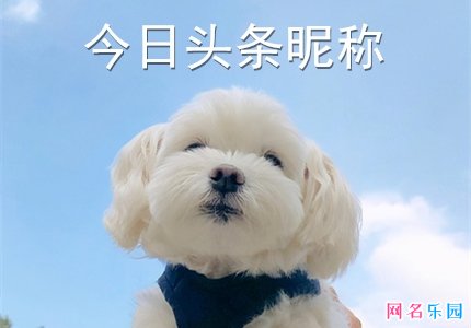 今日头条个性昵称 今日头条昵称名字推荐