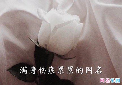 满身伤痕累累的网名
