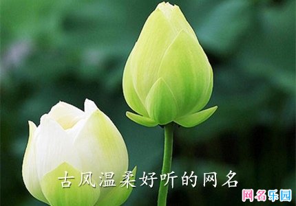 古风温柔好听的网名 超级温柔的古风网名