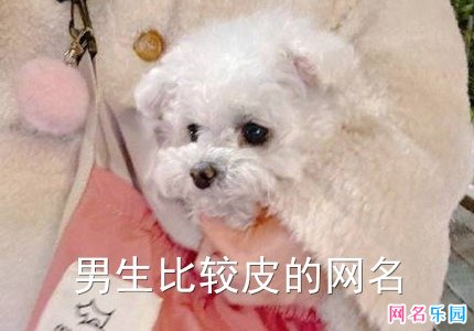 男生比较皮的网名