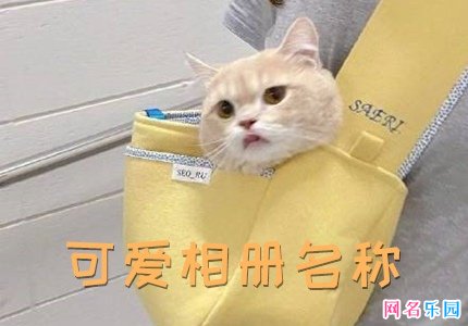 好听的相册名称可爱 女生空间相册名称可爱