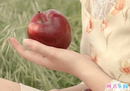 暖心的四字网名 阳光温暖的网名四个字