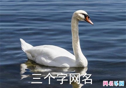 三字个性昵称 个性的三个字网名