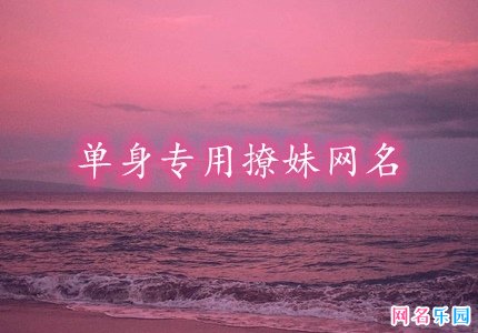 单身专用撩妹网名 特别撩人的昵称男生
