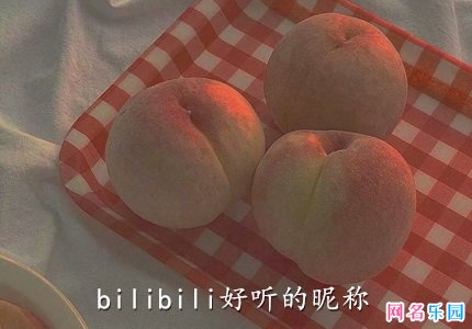 bilibili好听的昵称