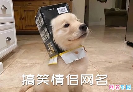 搞笑情侣网名
