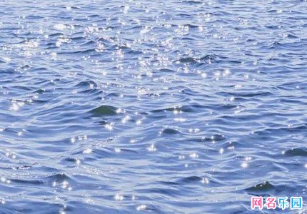 两个字的中性网名