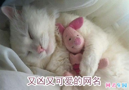 又凶又可爱的网名六个字