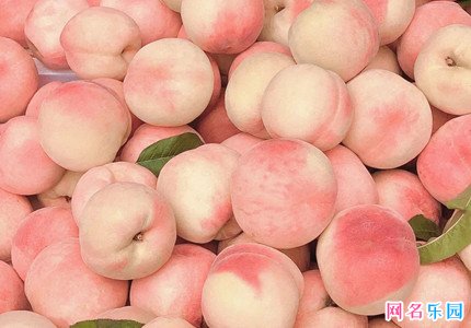 奶凶奶凶可爱游戏名