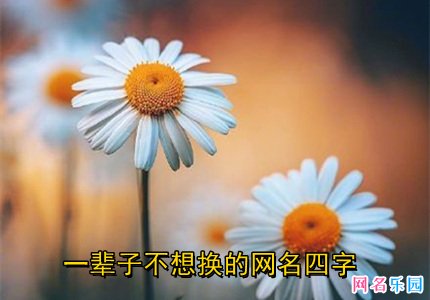 一辈子不想换的网名四字简单