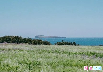 个性群名片名字 扣扣群名片名字大全