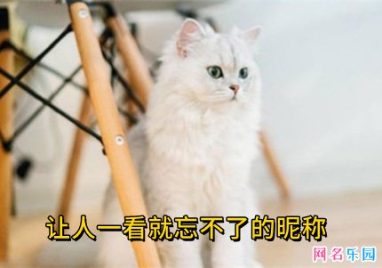 让人一看就忘不了的昵称