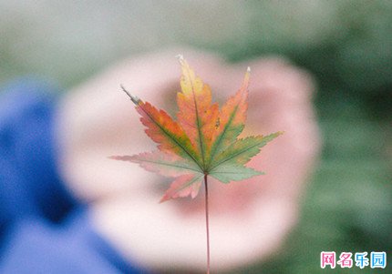 超好听的网名四个字