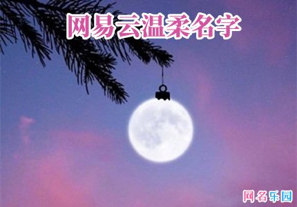 网易云温柔名字