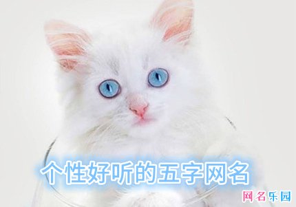个性好听的五字网名