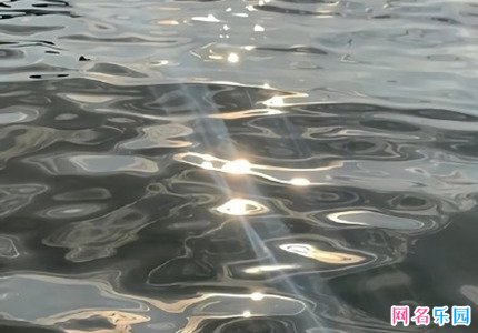视频号好听的昵称 微信视频号的昵称