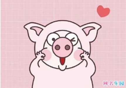 视频号搞笑名字 微信视频号幽默昵称