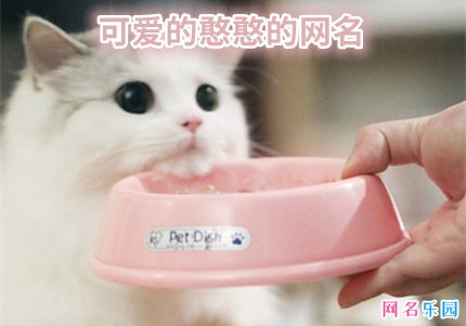 可爱的憨憨的网名