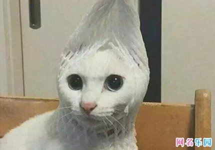 �Ƚ��ر������5����