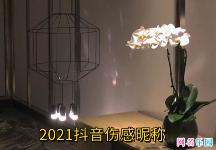 2021抖音伤感昵称