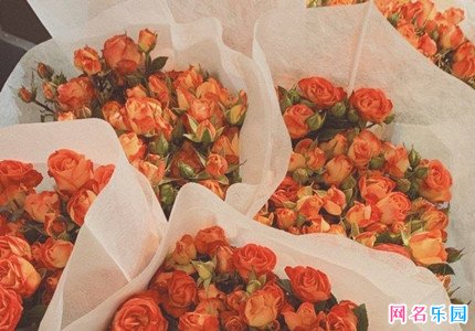 10后好听的网名 适合10后用的游戏名字