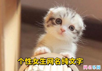 个性女生网名纯文字