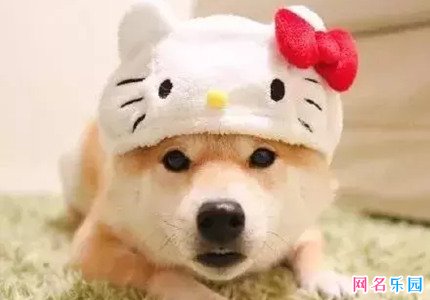独特小众的游戏id 小众高级的游戏id
