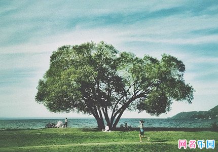 奋斗向上的微信昵称 带有努力奋斗的男网名