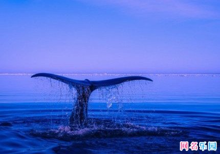 一眼就吸引人的网名两个字