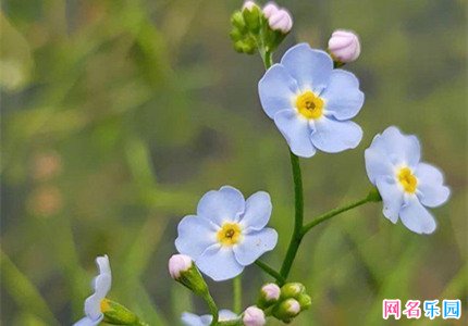 视频号唯美名字 视频号最美名字叫什么