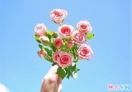 ���������崿�����