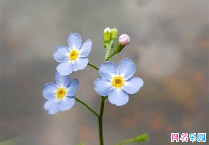 可以一直用的网名四个字