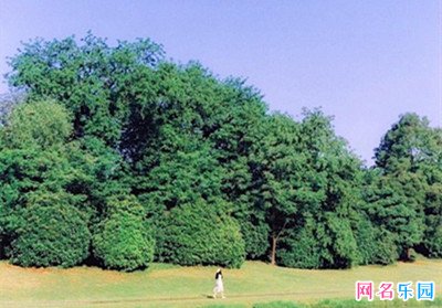 2021最好听微信群昵称