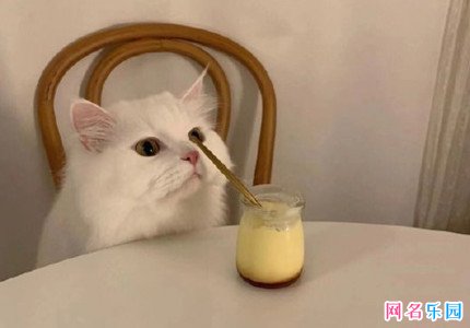 ���ֺ�����΢������