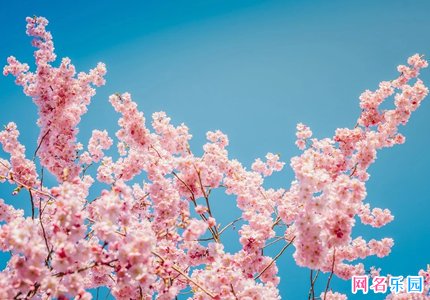 取个微信名好记又好听