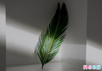 永远不换的网名五个字