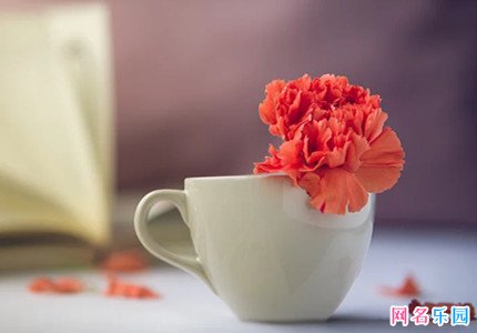�߶������������и���