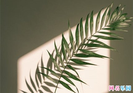 微信叫什么网名好听 超好听的微信昵称