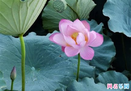 古风绝美网名 高级古风网名