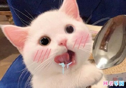 超搞笑的QQ昵称大全