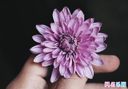好听有创意的四字网名