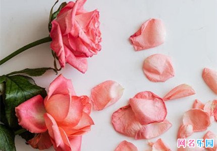 女生个性高大上网名