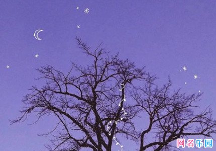 四字好听网名温柔 神秘温柔网名四字