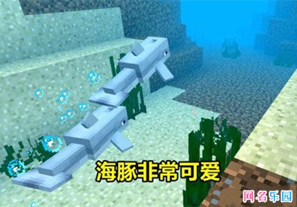 我的世界萌的名字62个 我的世界女生ID可爱