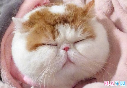 关系好的女生沙雕备注名称 给特别好的女性朋友的备注