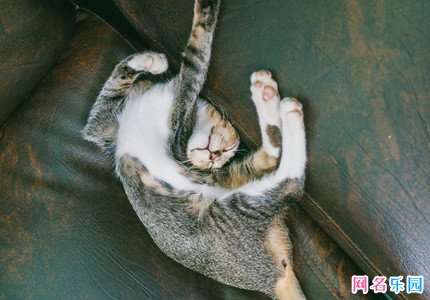 �ǳ�5����Ů���� 5����Ů΢���ǳ�