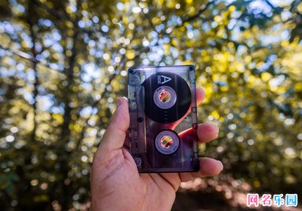 �����ֵı������� һ���Ķ��ı�����������