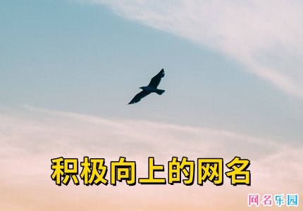 积极向上的网名